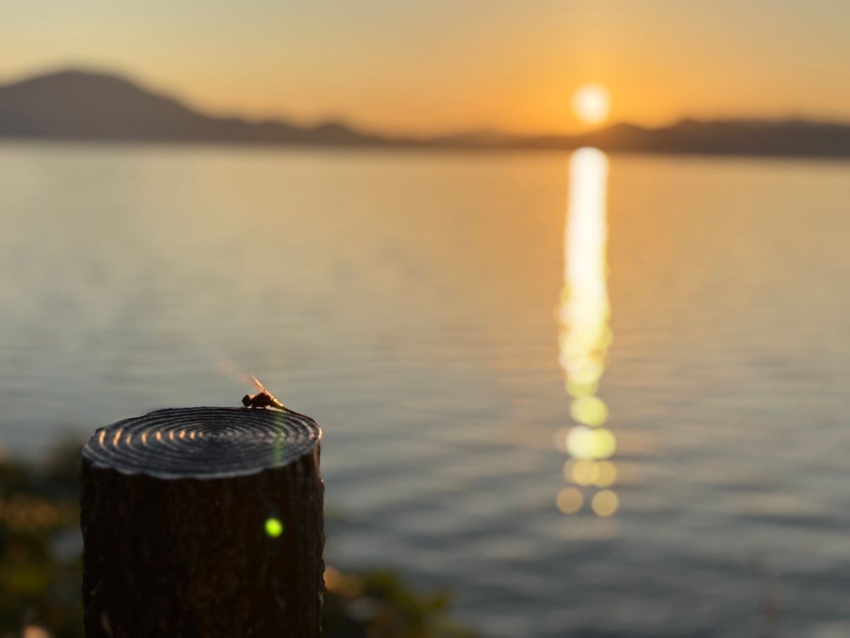 抱返り渓谷
田沢湖