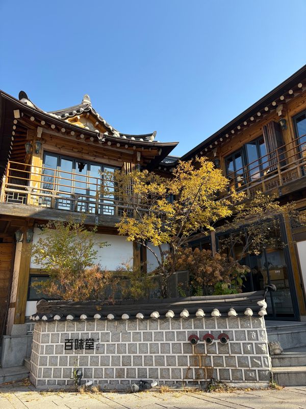 大韓民国 (韓国)・ソウル「同期旅1」の写真