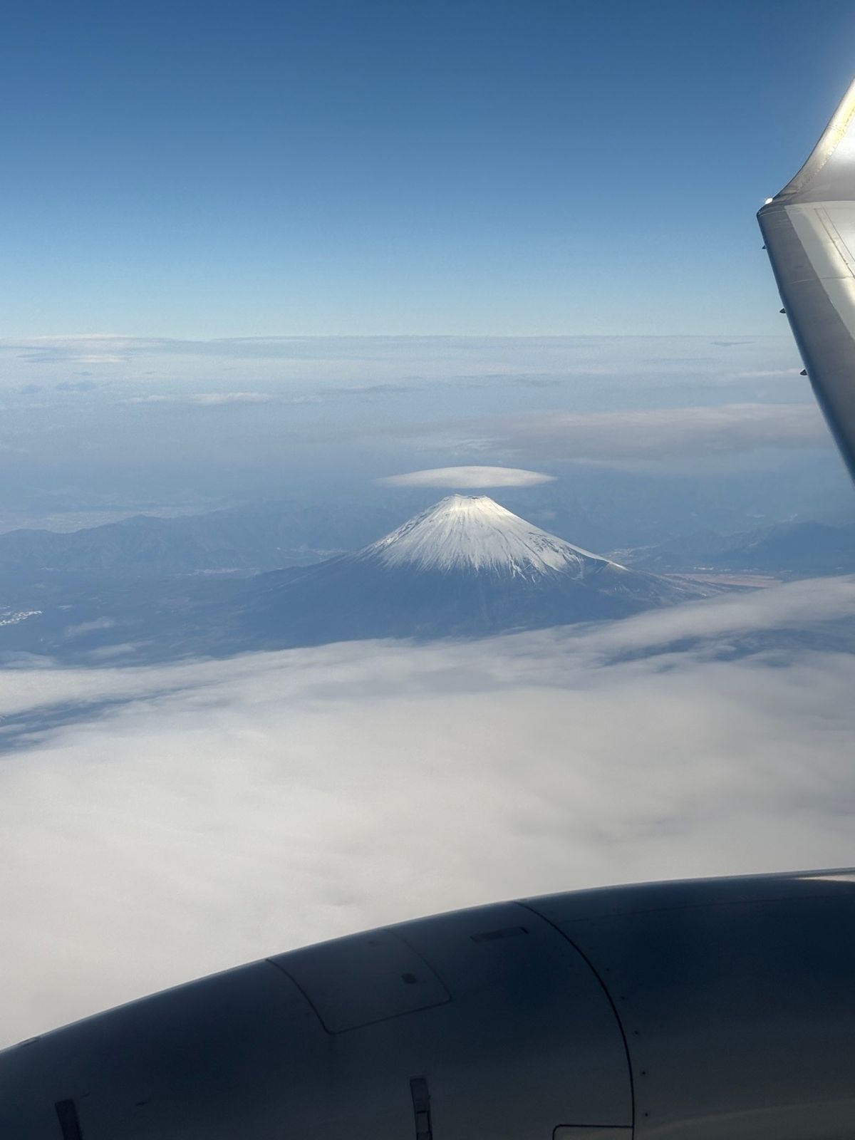 笠雲、ニコ淵、高知城