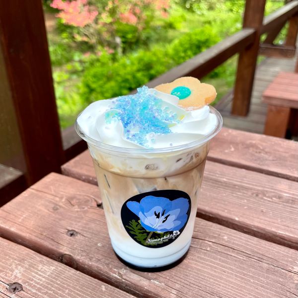 日本・茨城県「茨城県旅行✈️」の写真