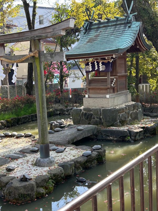 日本・大阪府「日帰りで生駒山」の写真