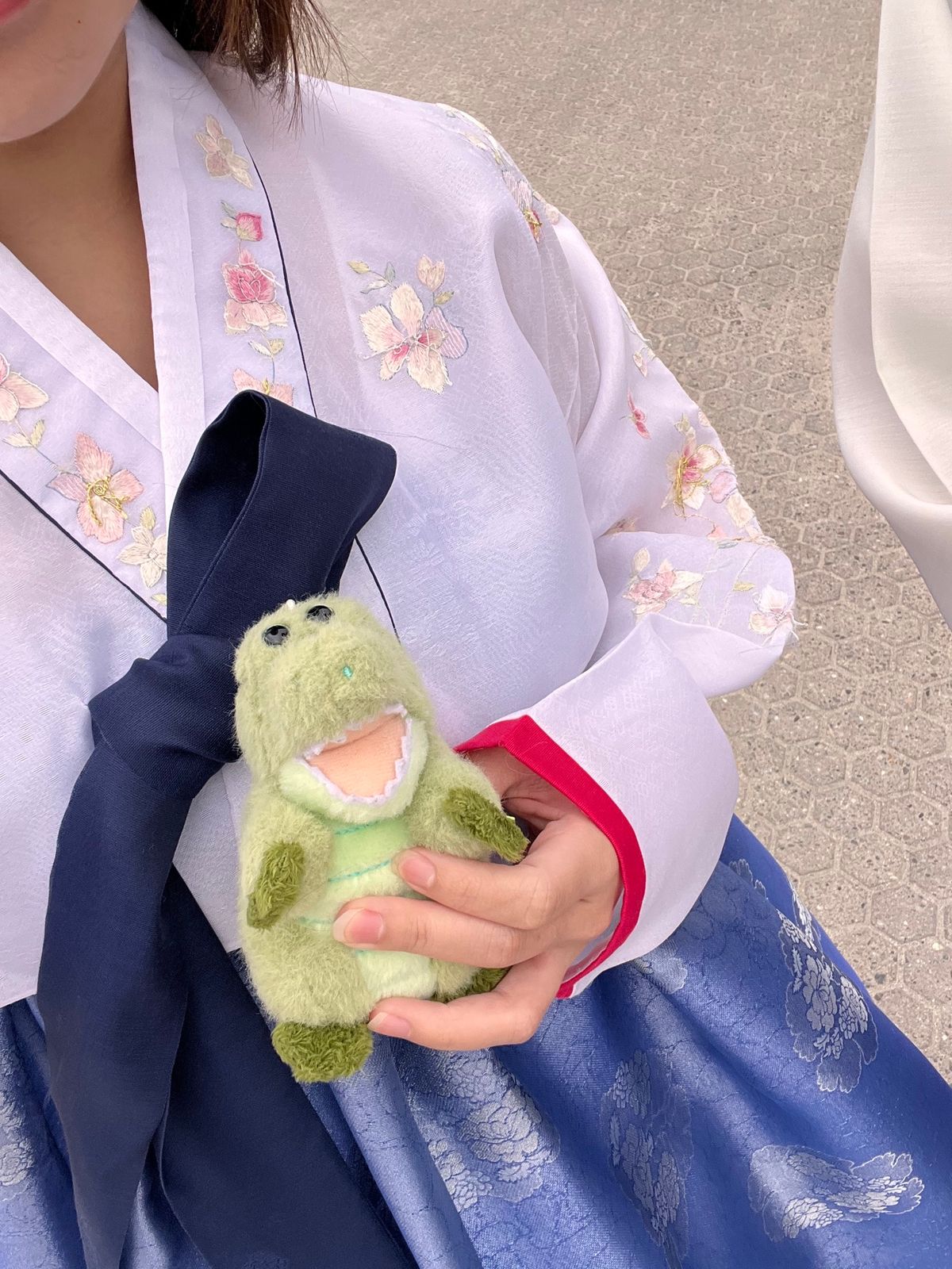 韓国🐊
