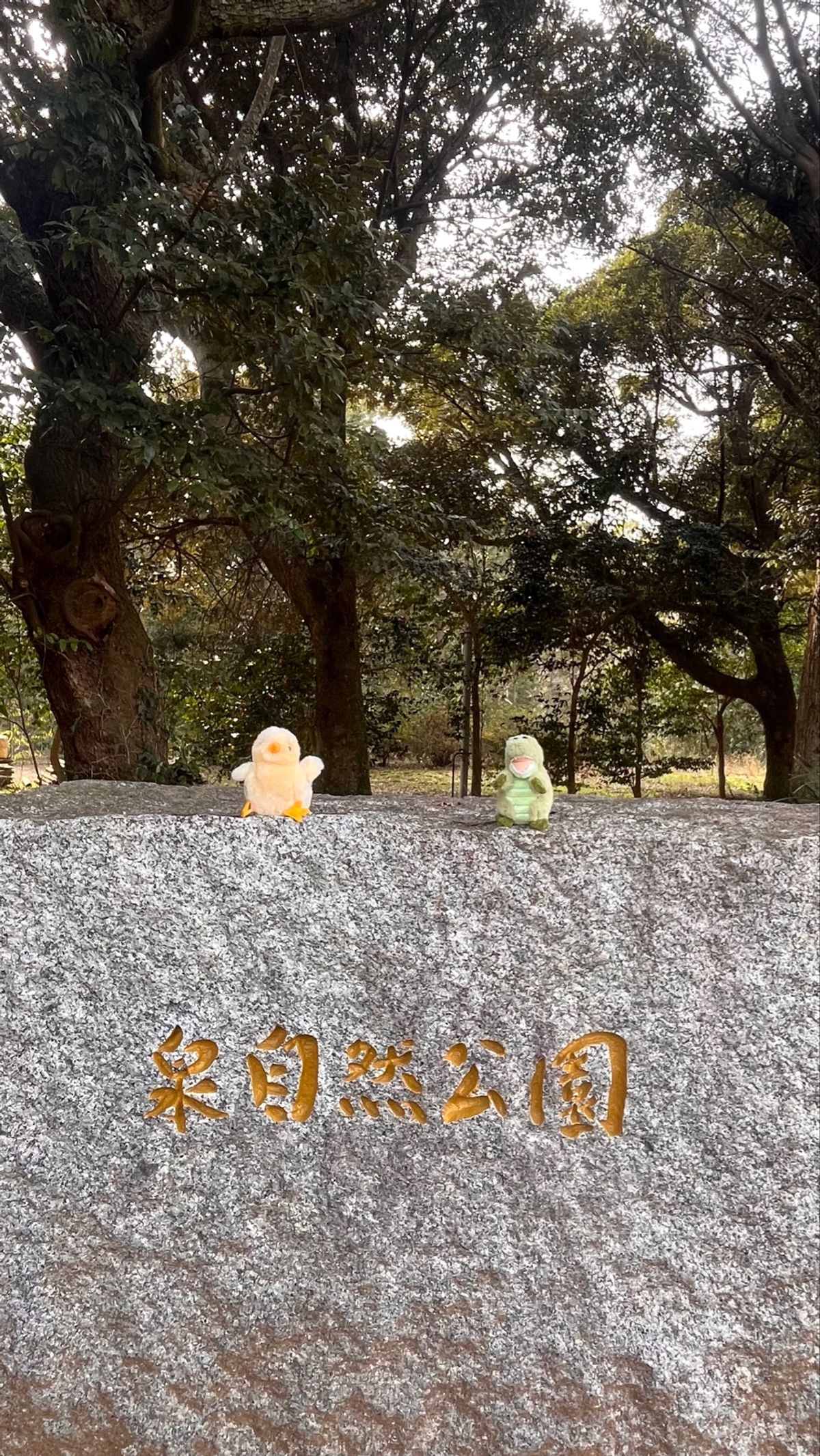 春の訪れ───