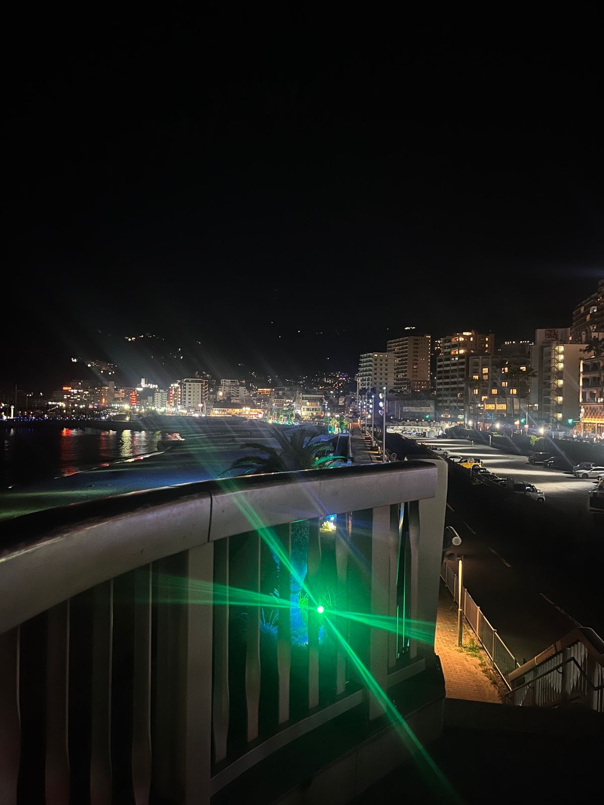 インドカレーを貪ったあと熱海で夜景を見ました。