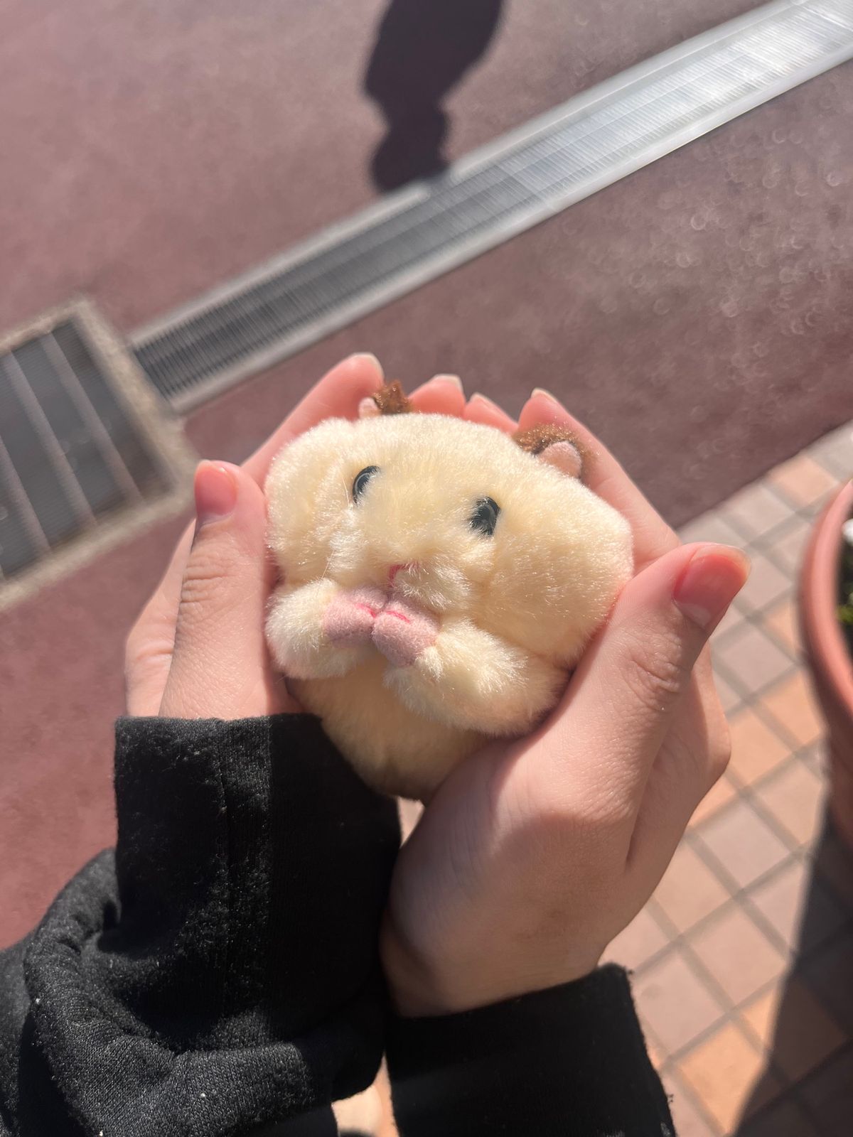 暖かくて動物たちの様子からもやはり春を感じます。
発情期のようです。