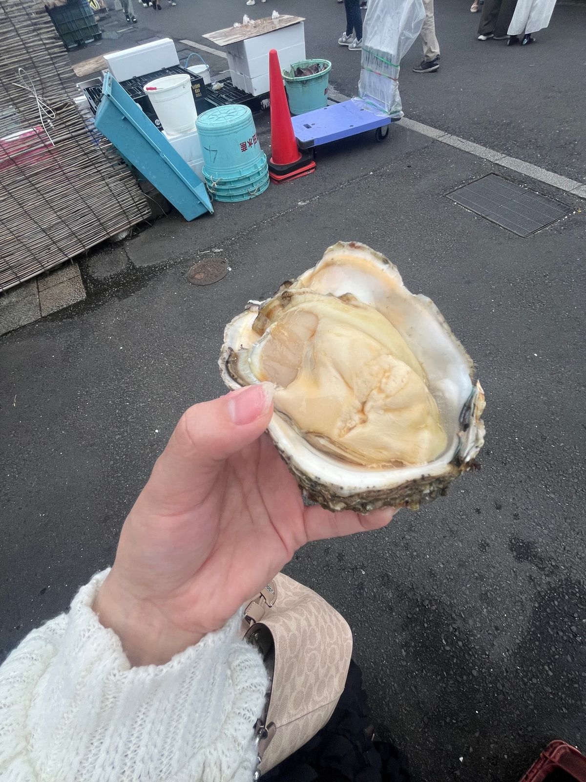 嗚呼…🦪♡