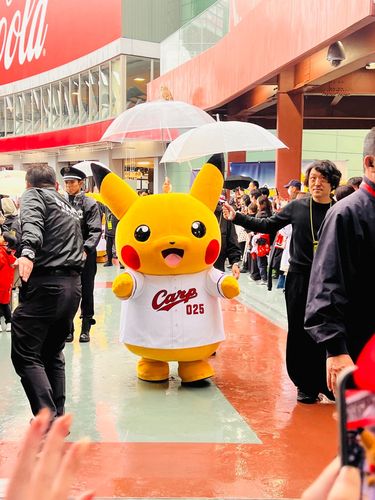 マツダスタジアム