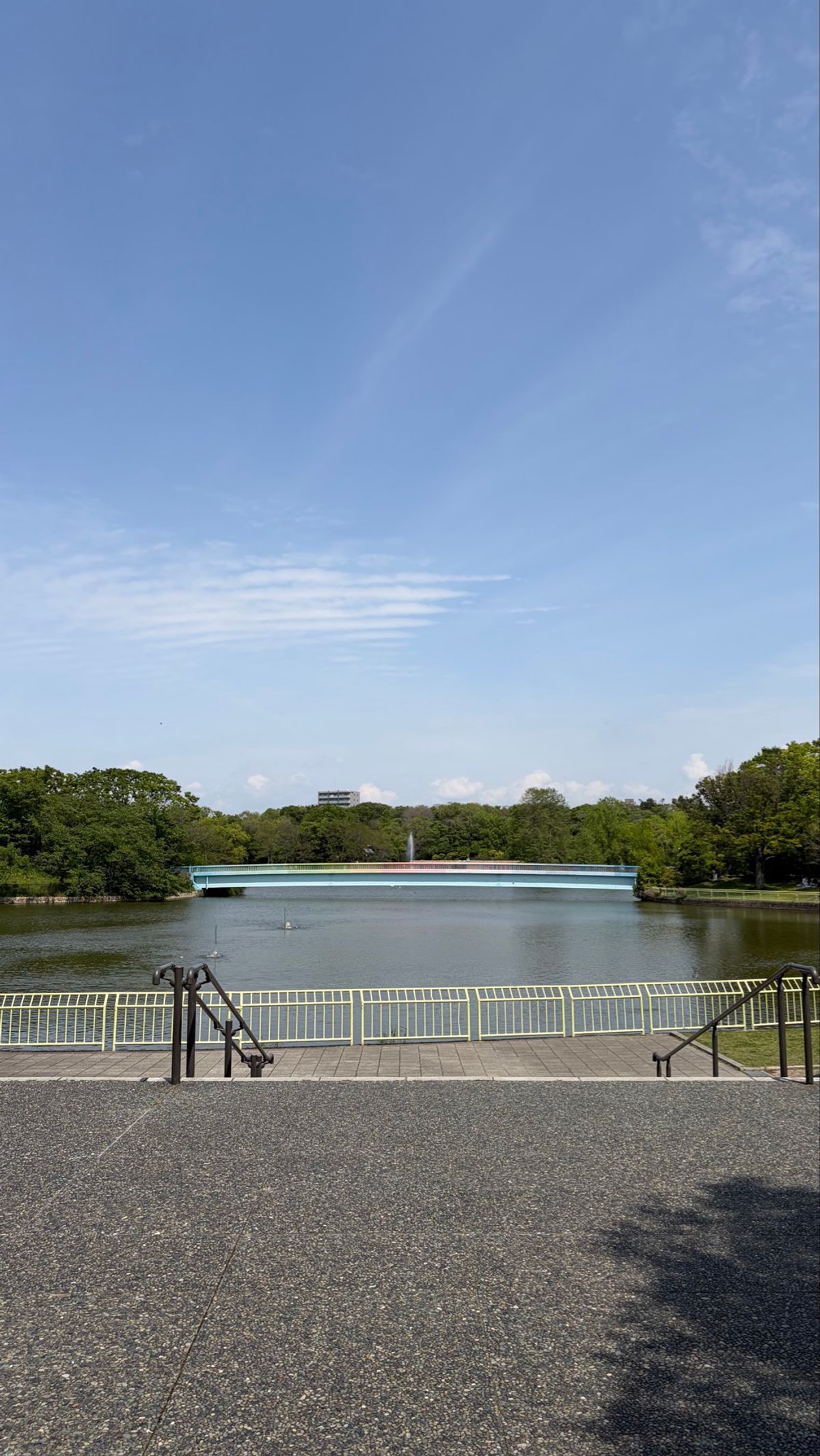 ネモフィラ見に行くからということで、水色をチョイスしたお洋服で🎀
ブラウス...