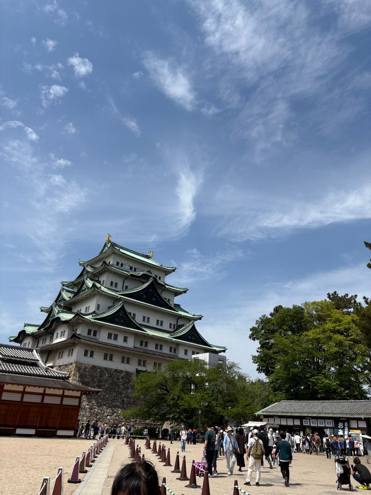 名古屋最高にお酒が進む！