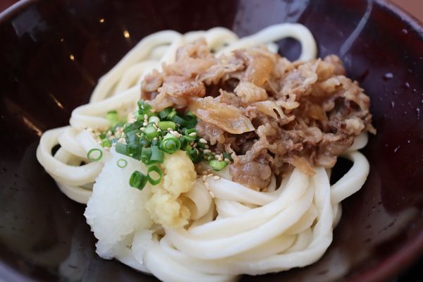 日本・香川県「岡山、香川旅行」の写真：高松でもうどんを食べた