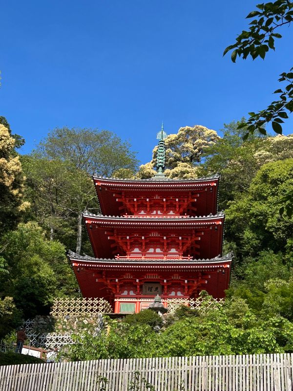 日本・愛知県「愛知方面、一人旅」の写真