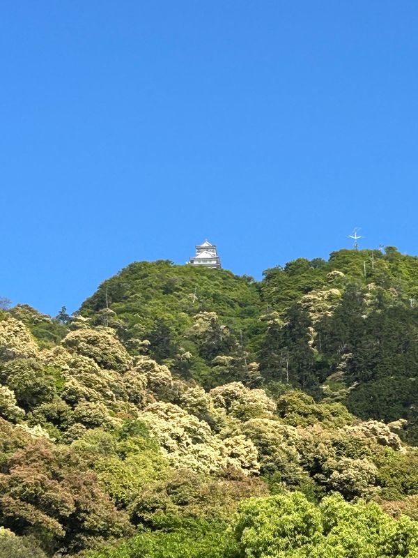 日本・愛知県「愛知方面、一人旅」の写真