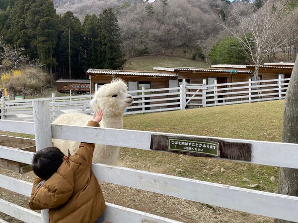 日本・兵庫県神崎郡神河町「神崎農村公園ヨーデルの森」の写真
