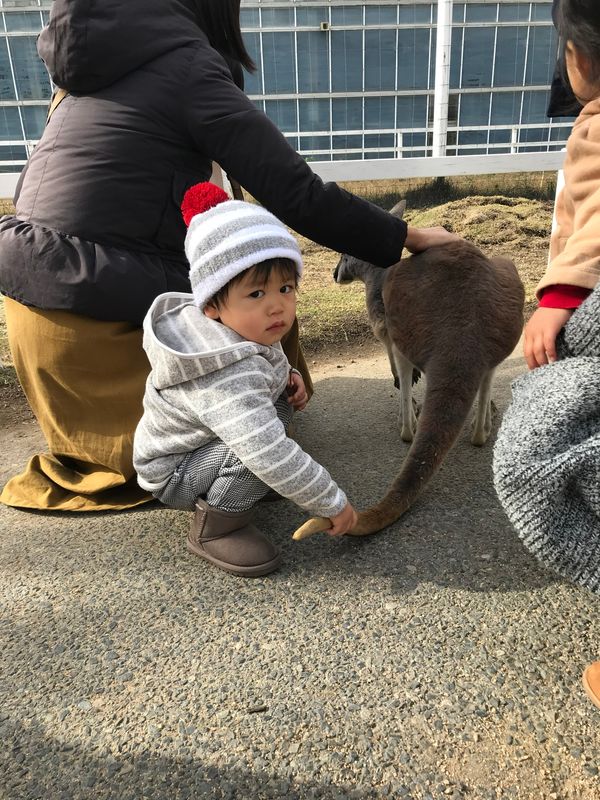 日本・兵庫県神戸市「神戸どうぶつ王国」の写真