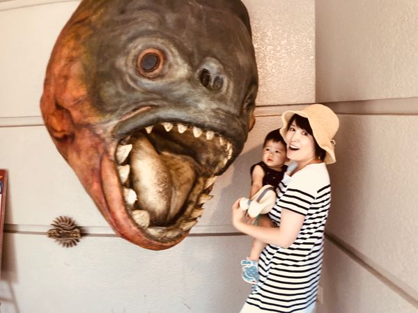 日本・リゾート兵庫県神戸市「須磨水族館」の写真