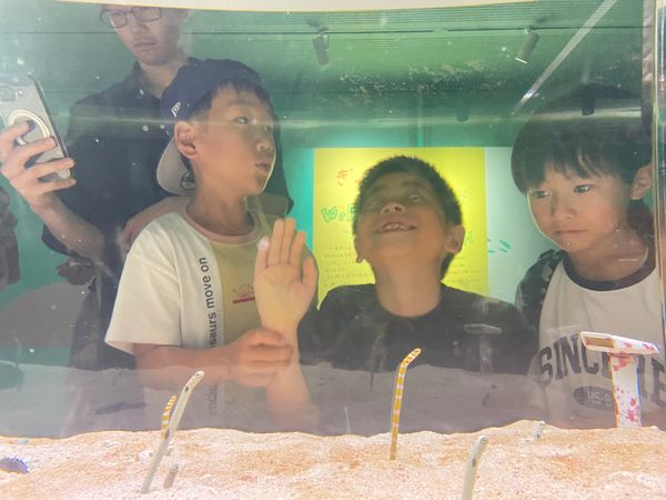 日本・大阪府「子供会旅行　3年」の写真