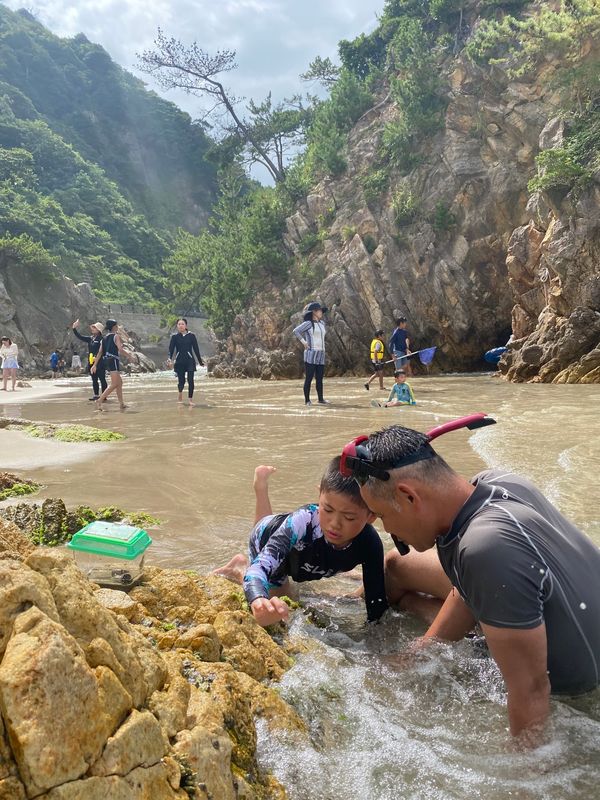 日本・鳥取県「海水浴　7歳」の写真