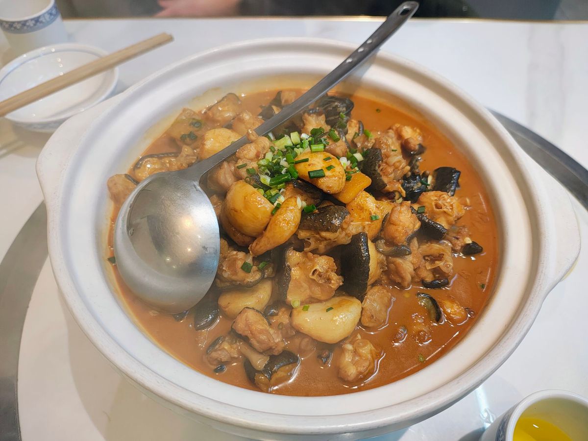 オオサンショウウオ(養殖)