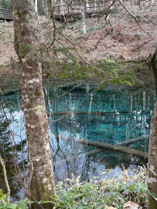 日本・北海道「2048km北の大地」の写真