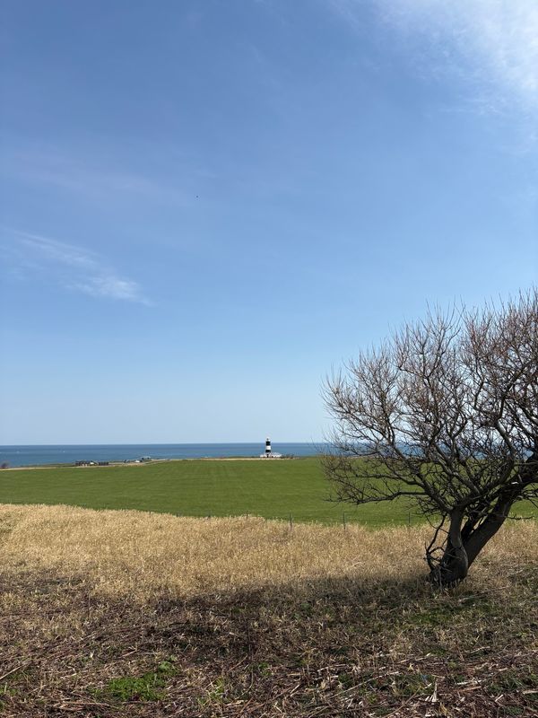 日本・北海道「2048km北の大地」の写真
