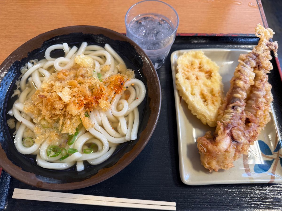 とりあえずうどん食って高松城
徳島ブラブラ