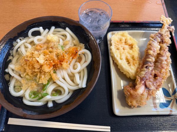 日本・徳島県「高松徳島日帰り」の写真：とりあえずうどん食って高松城
徳島ブラブラ