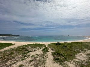 24日
あやまる岬、土盛海岸、奄美パーク
鹿児島便欠航により