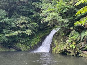23日
世界遺産マテリヤ滝とマングローブ原生林
迷った後のご