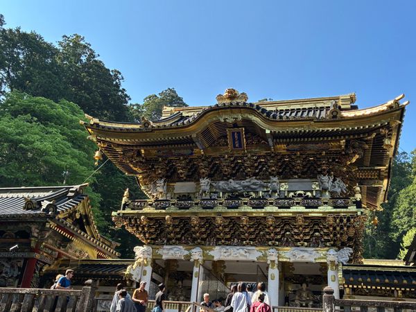 日本・栃木県「栃木旅行🐒」の写真：🏯日光東照宮

念願の！