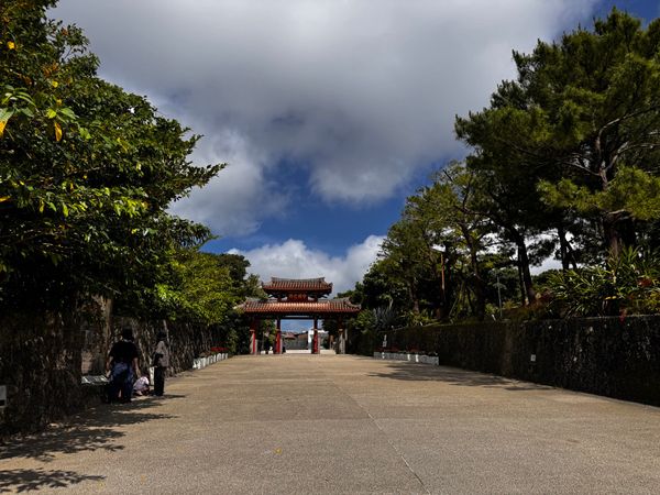 日本・沖縄県「沖縄小児歯科学会」の写真