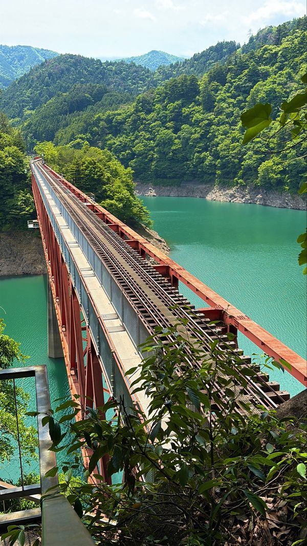 日本・静岡県「静岡旅行🚗」の写真