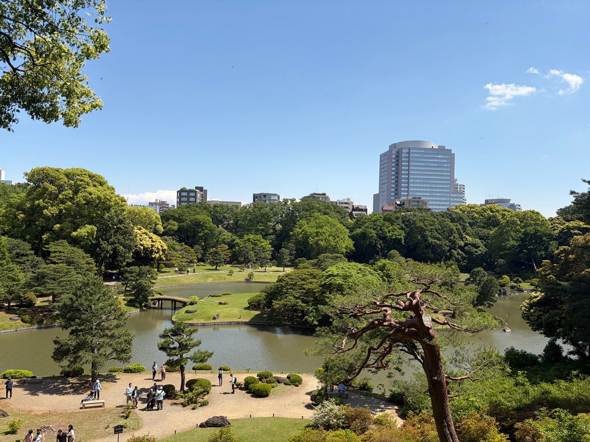 午後は六義園へ。枝垂れ桜で有名ですが、庭園も美しいと思います。