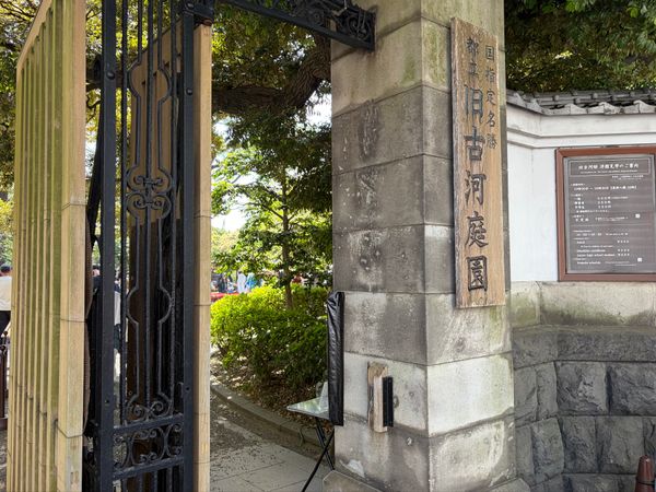 日本・東京都「都内プチ散策」の写真：六義園の後は旧古河庭園へ。薔薇が見頃とあ...
