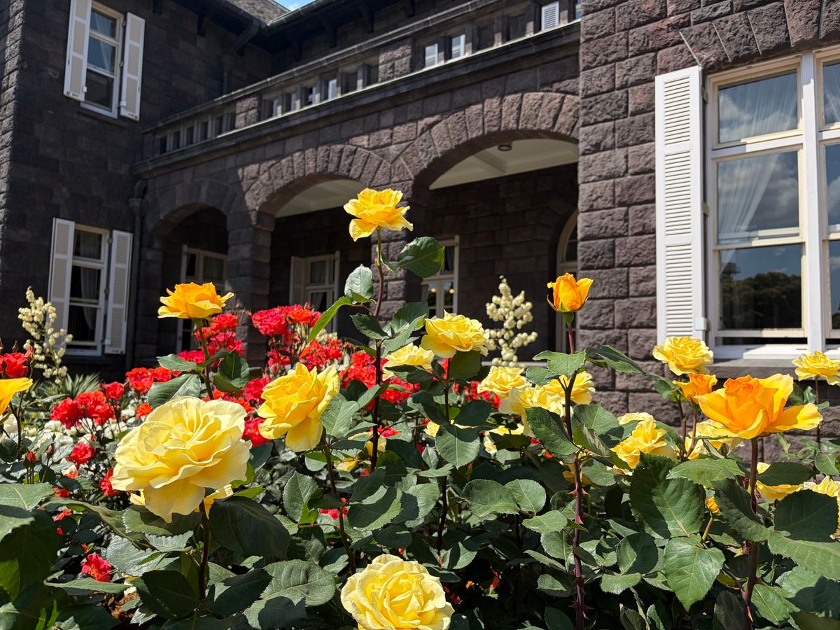 六義園の後は旧古河庭園へ。薔薇が見頃とあってすごい人。チケットを先に六義園...