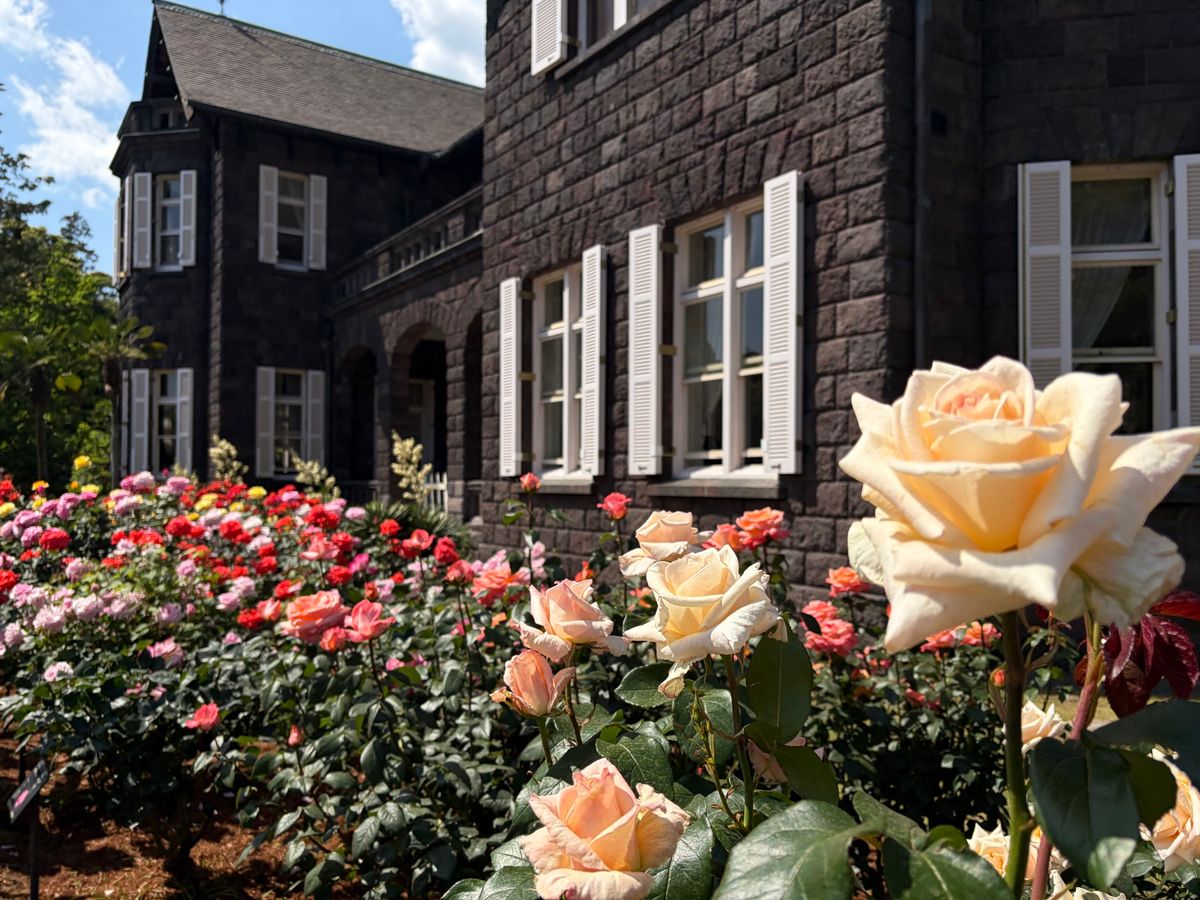 六義園の後は旧古河庭園へ。薔薇が見頃とあってすごい人。チケットを先に六義園...