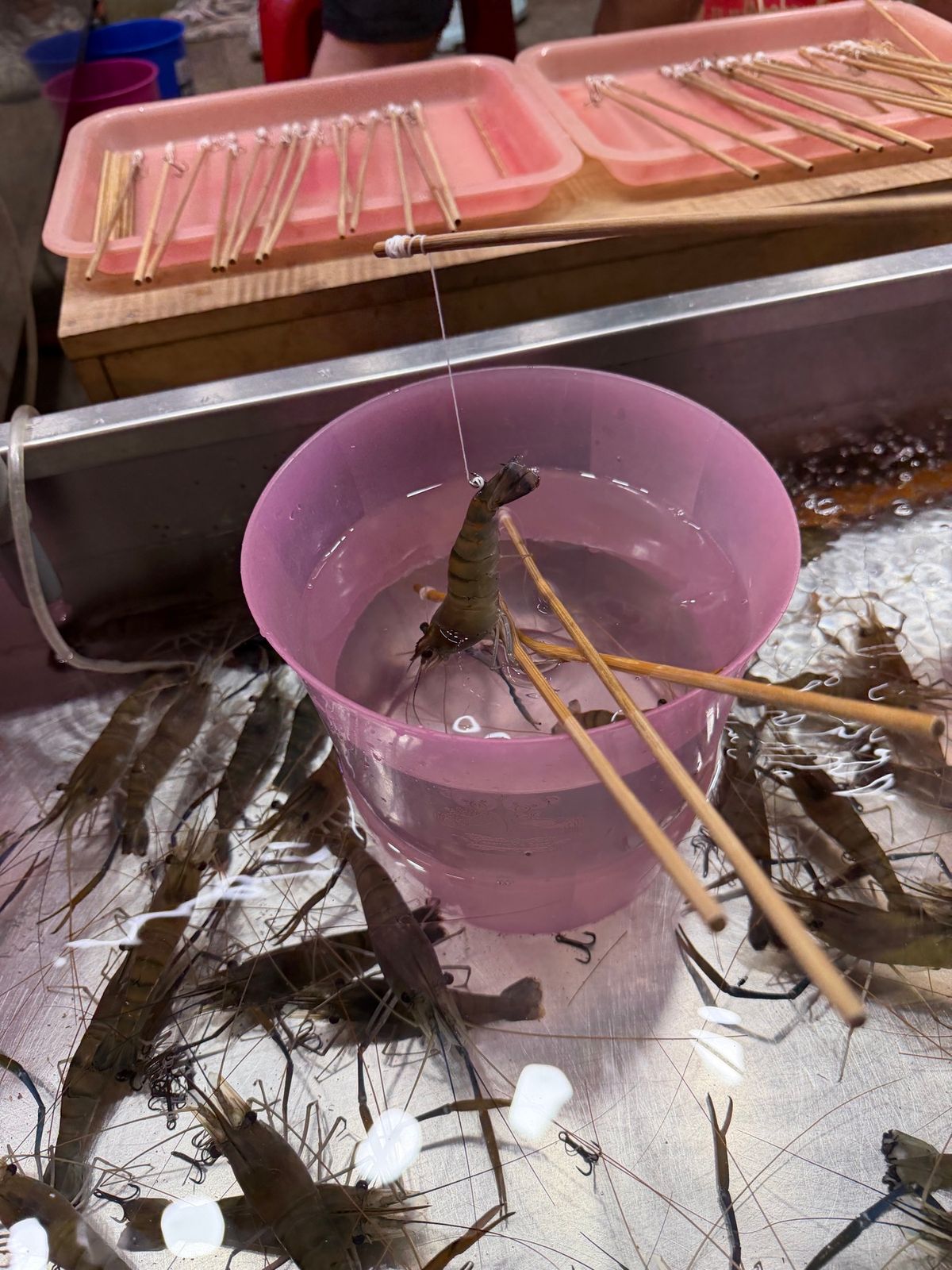 海老釣りしてそのまま焼いて食べてしまった