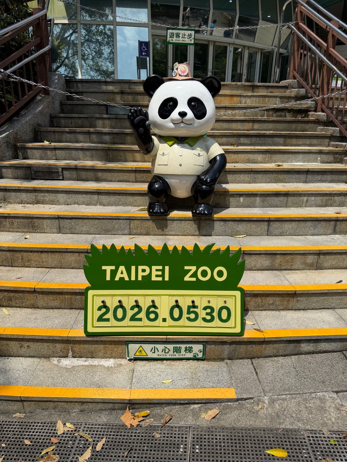 台北動物園でパンダ
日本では観る事がないのかなぁ…