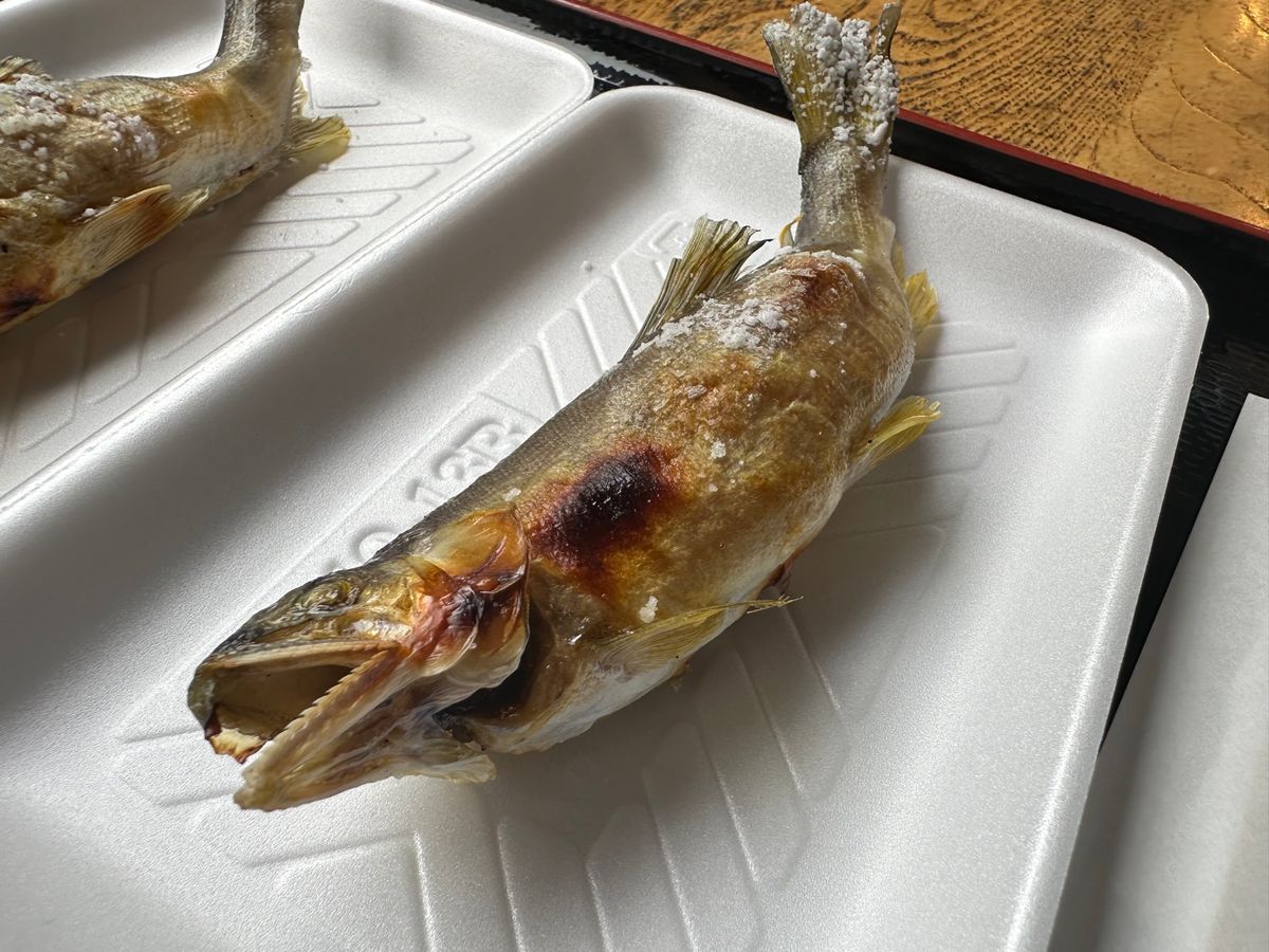 6/6
鮎の塩焼き、つや姫バニラとラフランスのソフト、さくらんぼの王様佐藤錦