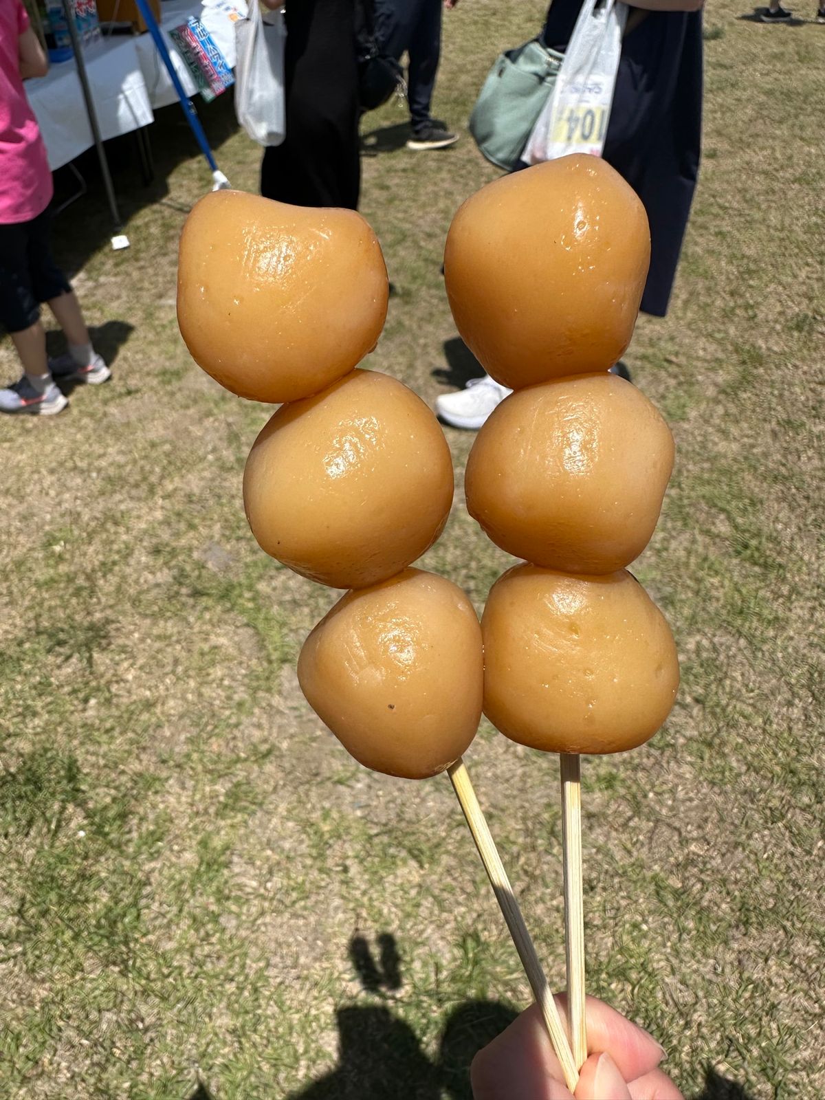 6/7
ひがしねさくらんぼマラソン
現地で鱒の塩焼きとスモーク、玉こんにゃく