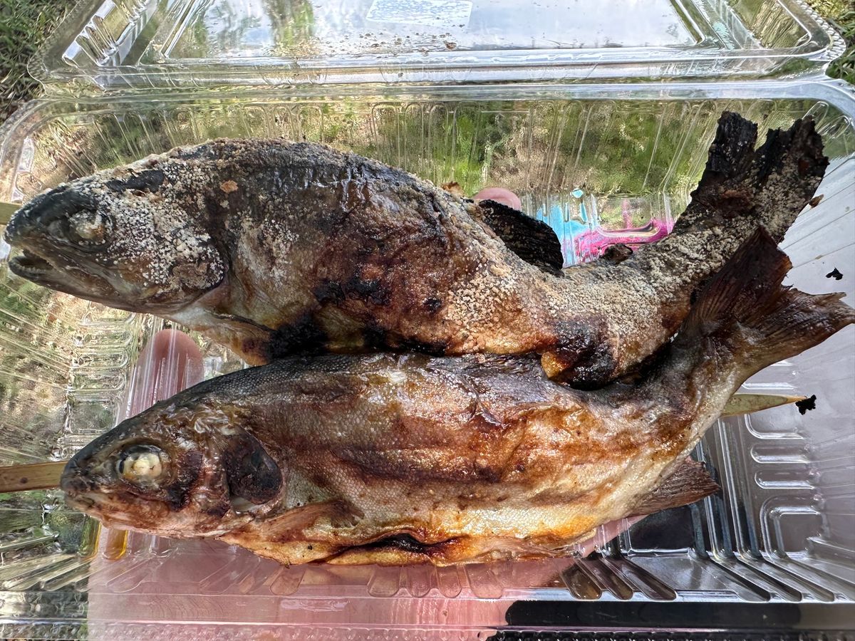 6/7
ひがしねさくらんぼマラソン
現地で鱒の塩焼きとスモーク、玉こんにゃく