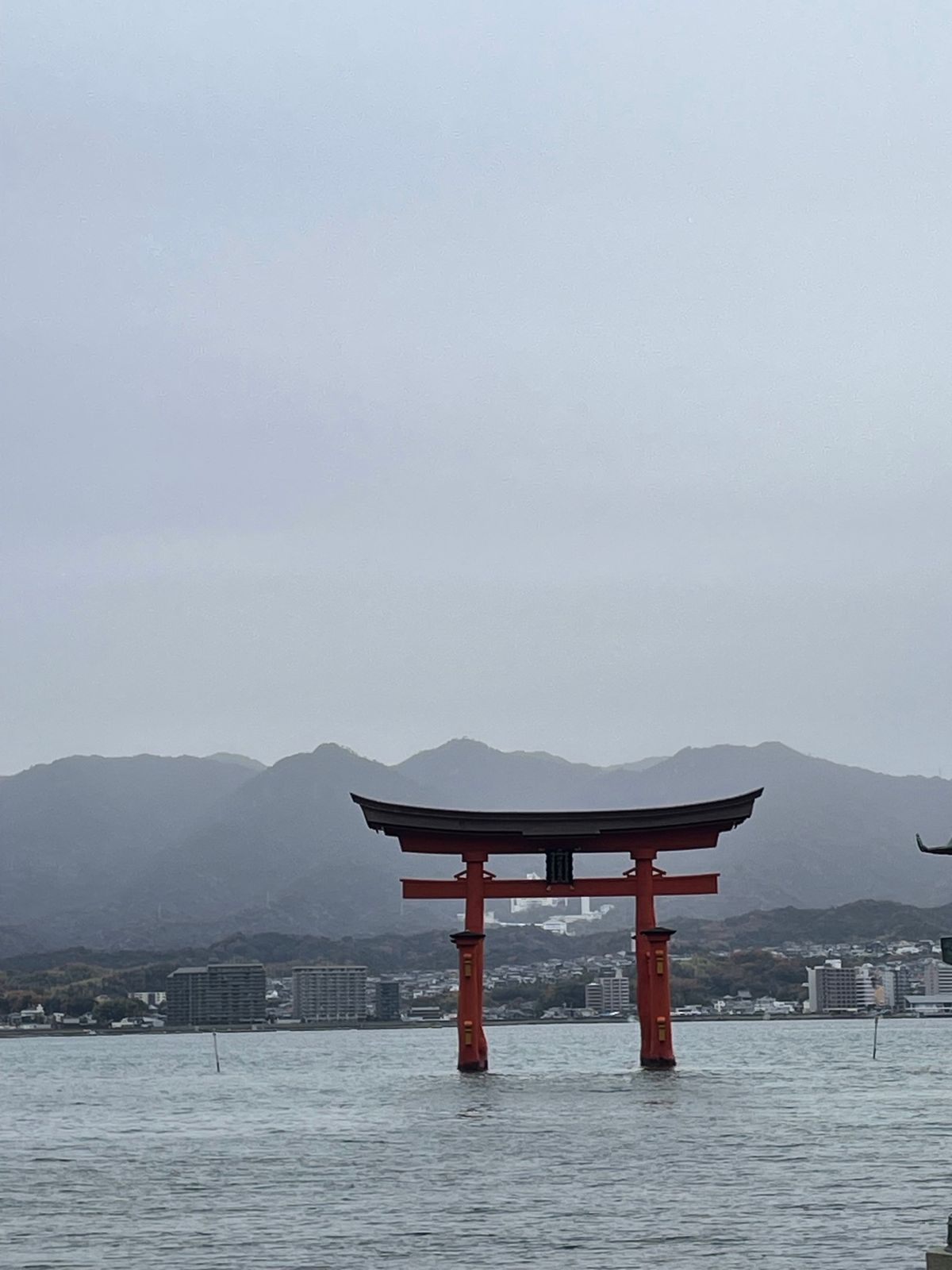 初めて新幹線に乗った！