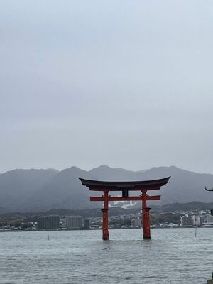 初めて新幹線に乗った！