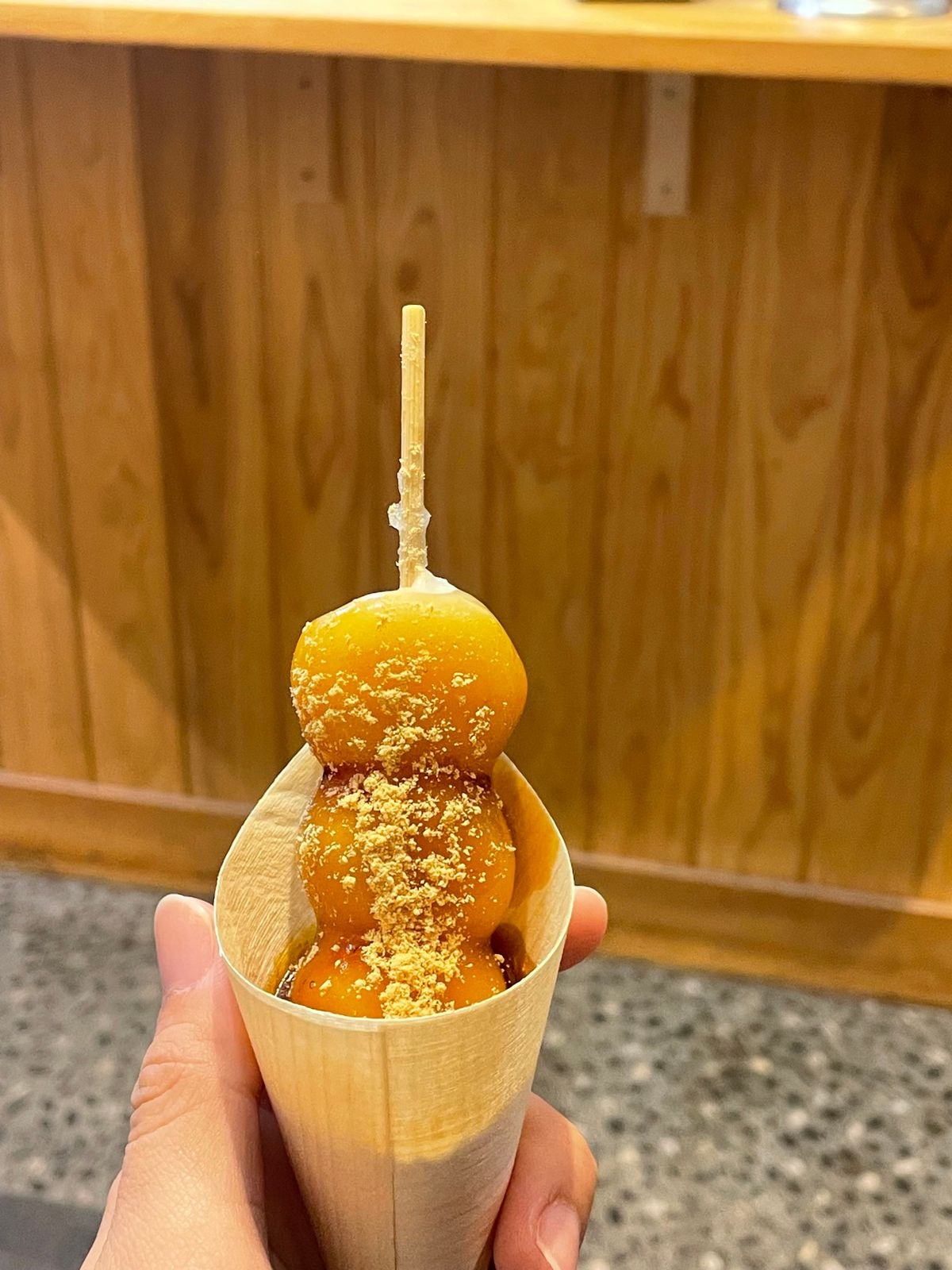 初めて新幹線に乗った！
