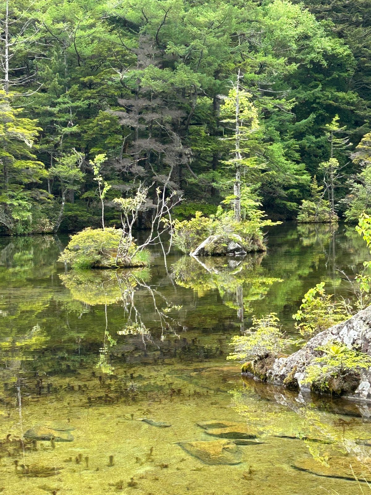 上高地３　