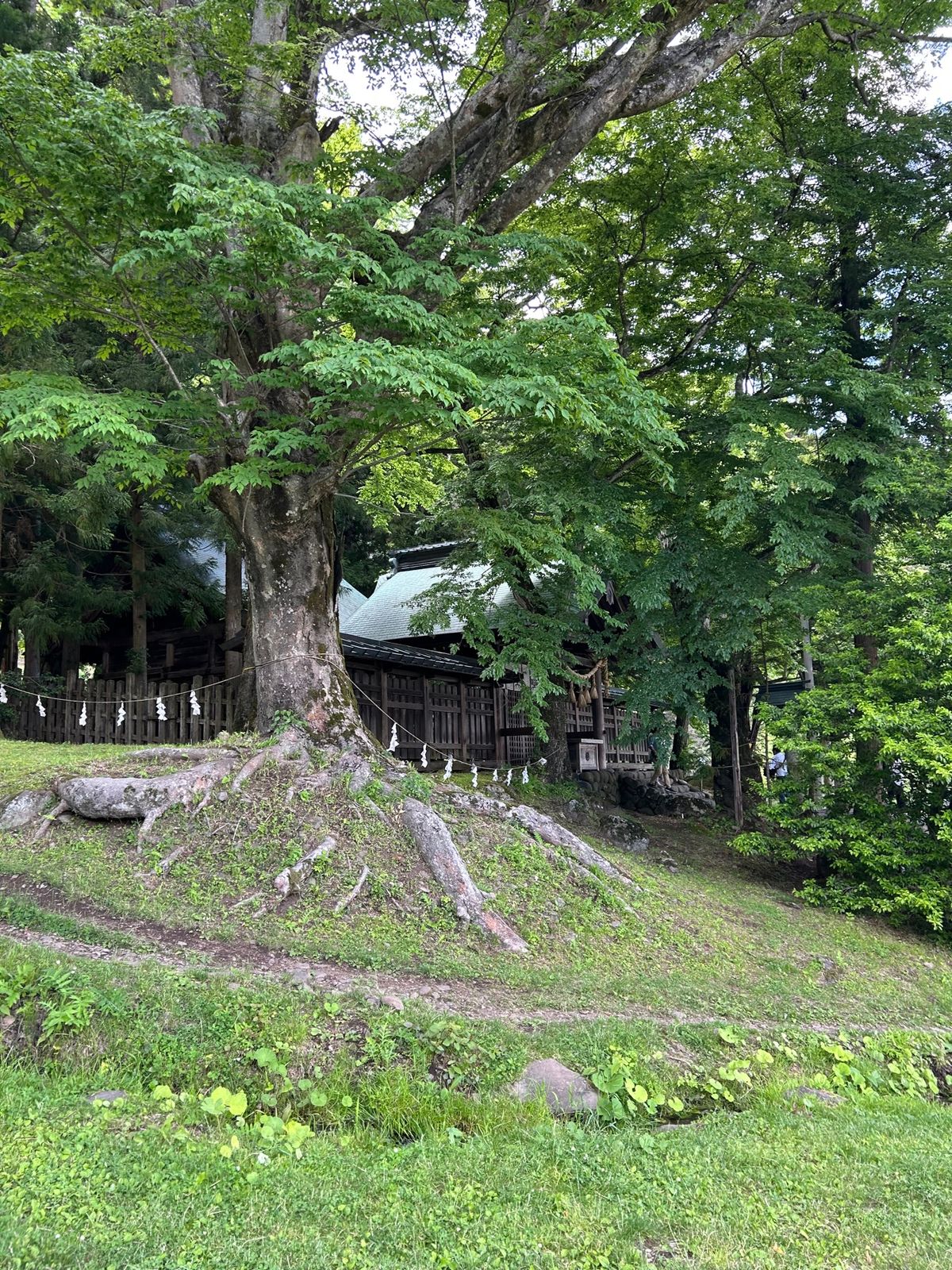 諏訪大社上社前宮