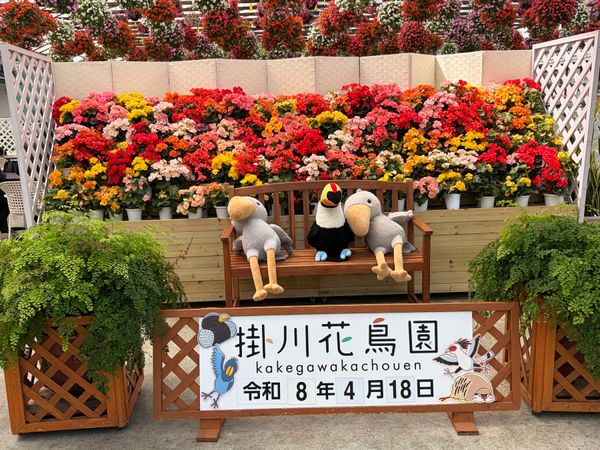 日本・静岡県「2026.4🗾掛川姉妹旅」の写真