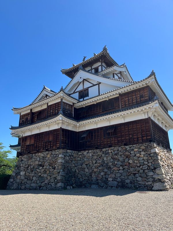日本・京都「【百名城】丹波〜丹後」の写真：福知山城