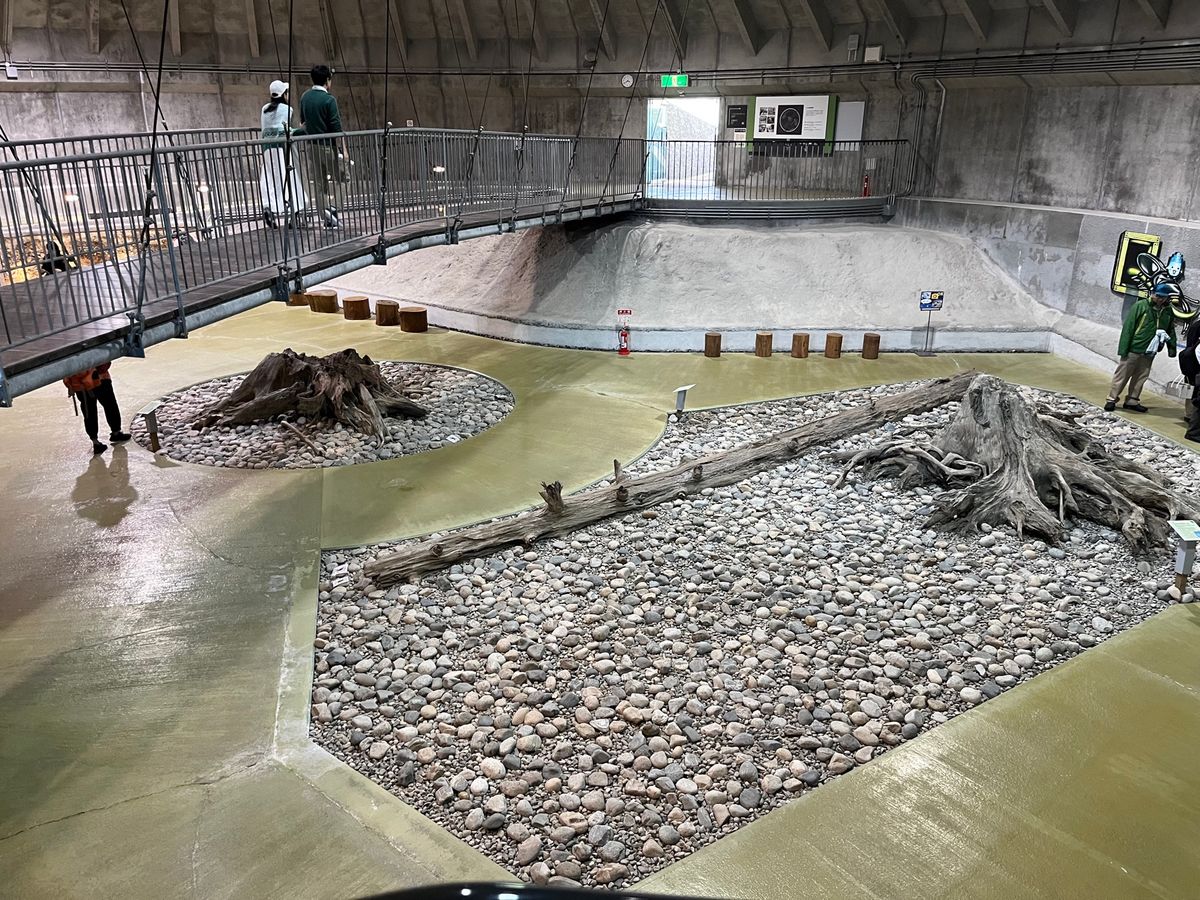 埋没林博物館
