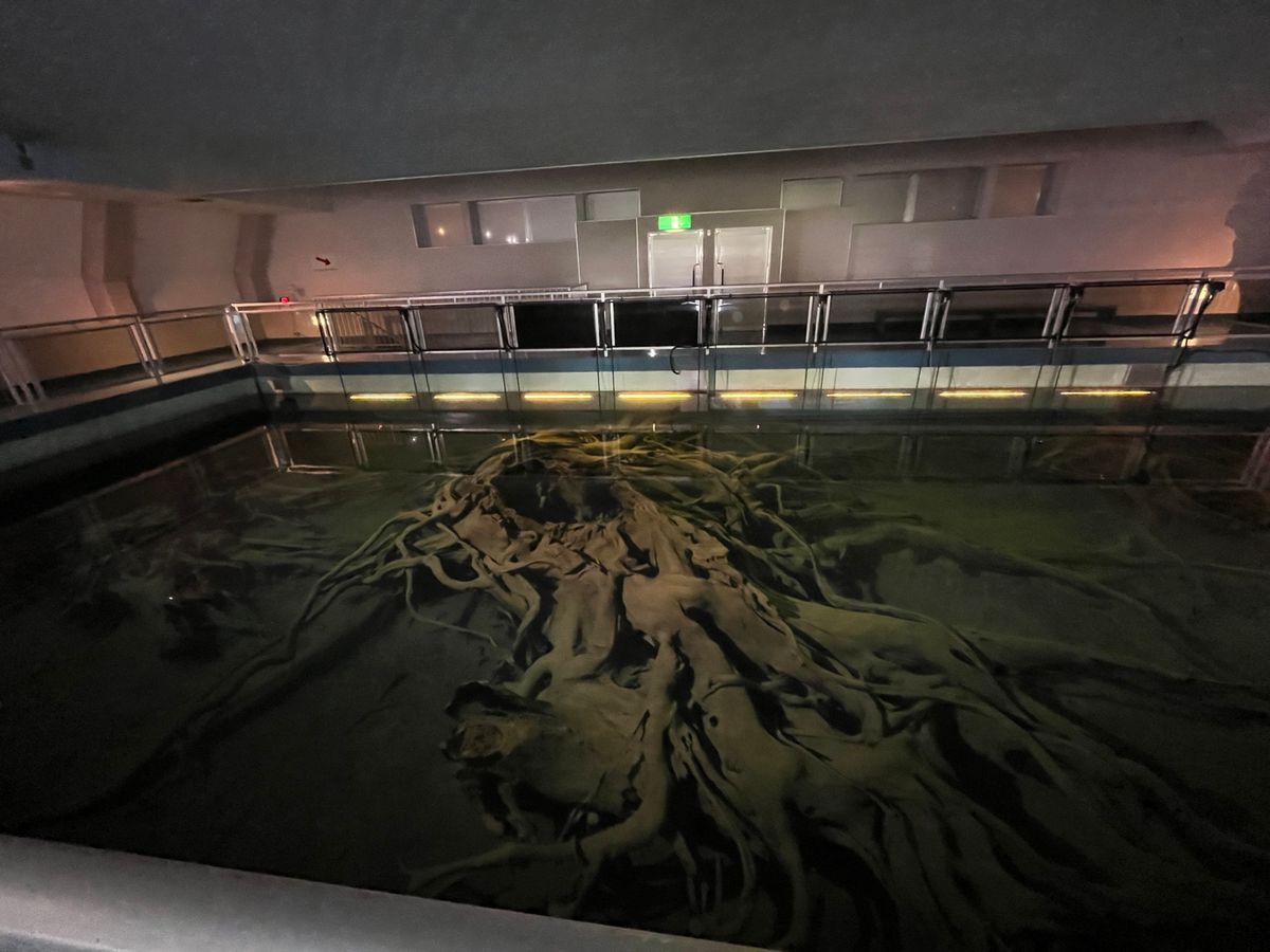 埋没林博物館