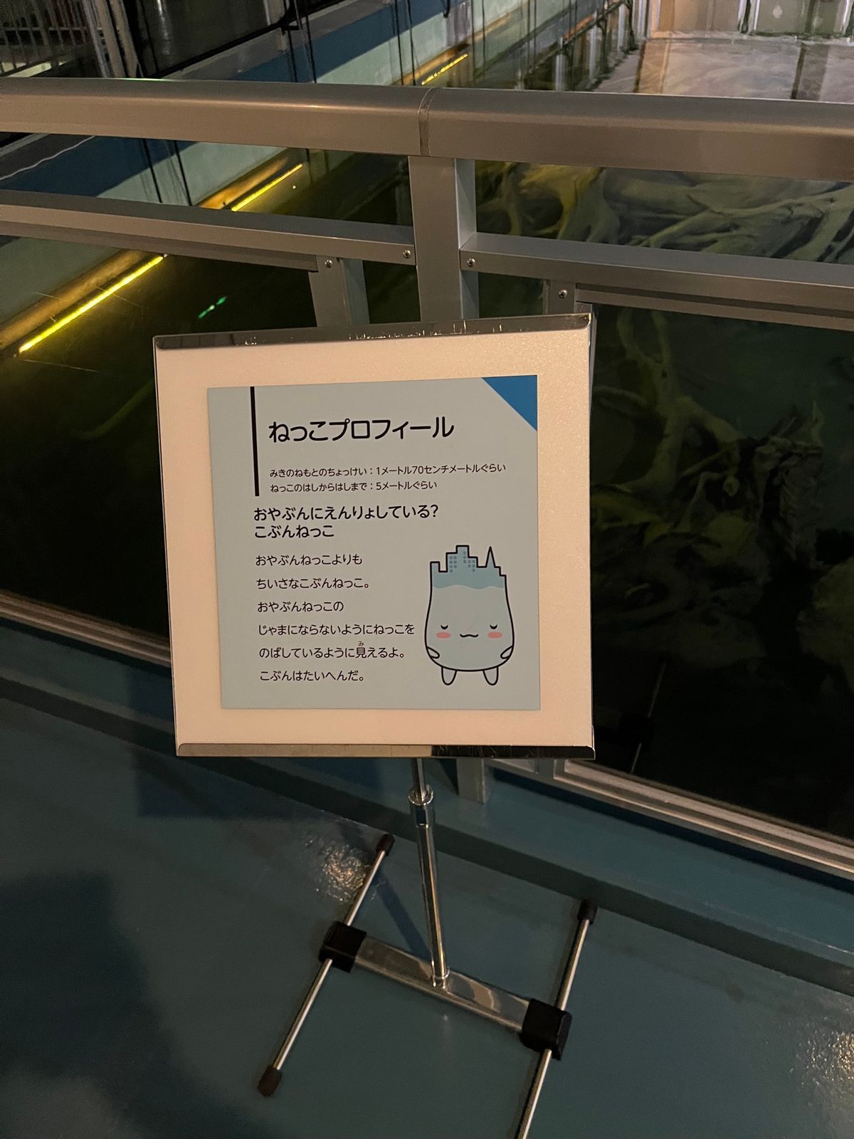 埋没林博物館